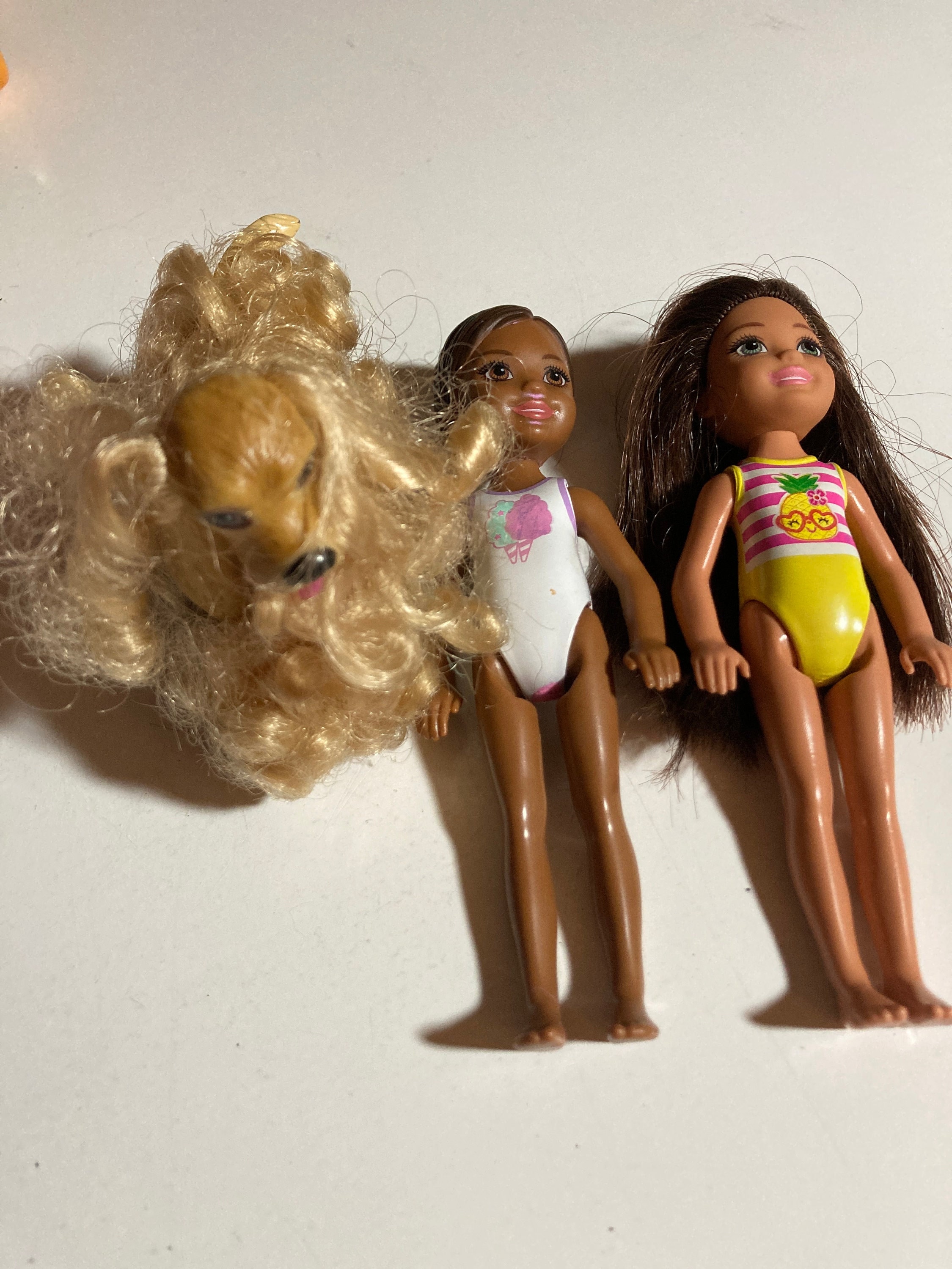 Ginger barbie dog hotsell