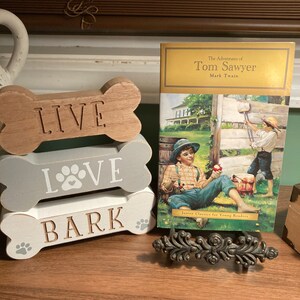 The Adventures of Tom Sawyer by Mark Twain paperback book classic literature Junior Classics for young readers children’s story