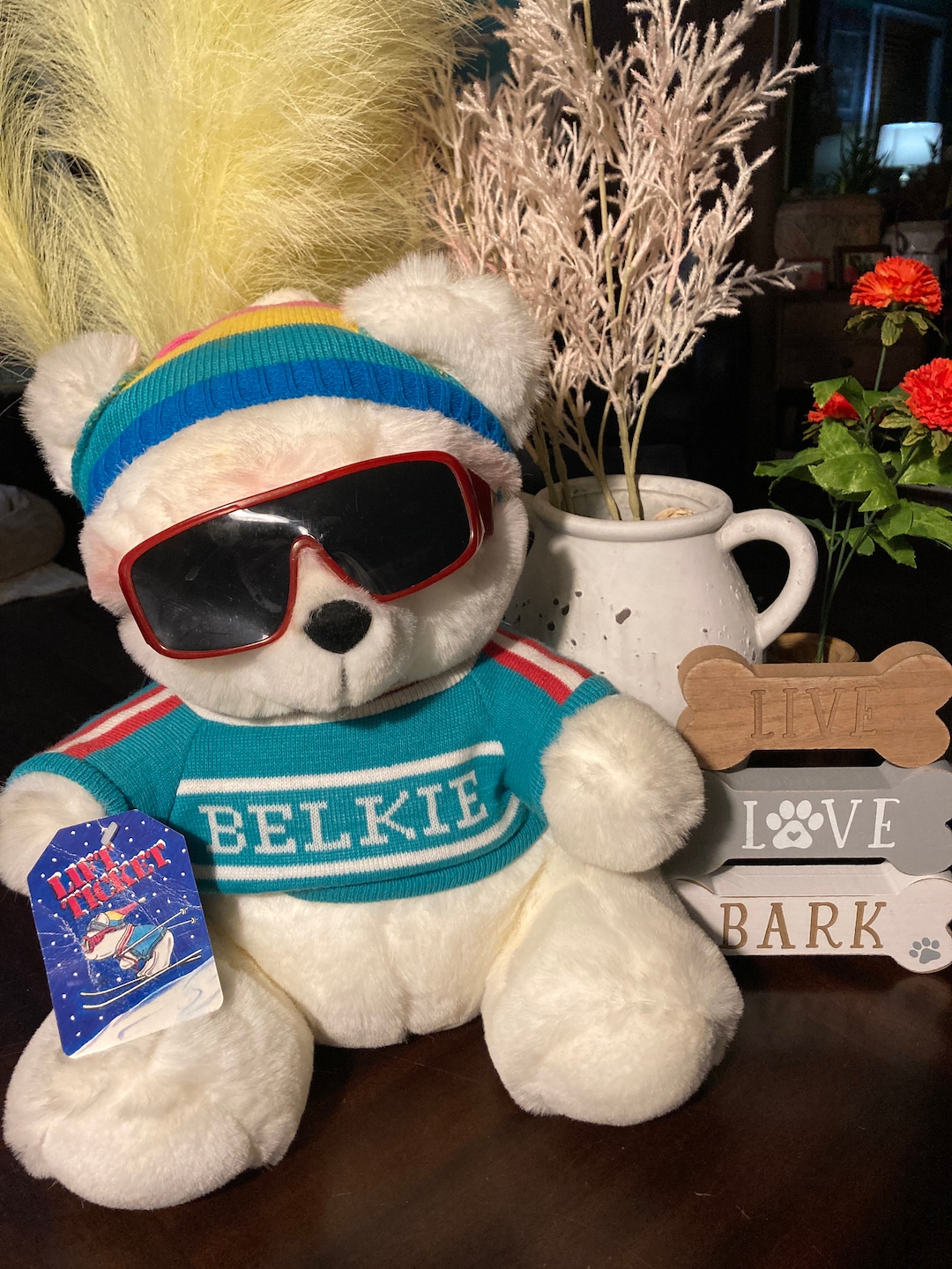 Belkie Bear by Belk Stuffed Teddy Bear Ski Lift Ticket in Ski Glasses
