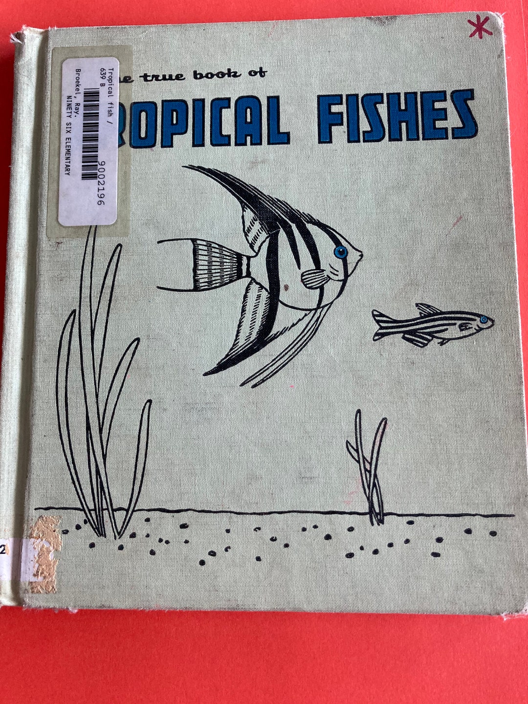The True Book of Tropical Fishes by Ray Broekel Children’s Hardback ...