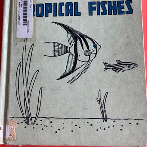 The True Book of Tropical Fishes by Ray Broekel children’s hardback book on fish vintage 1956