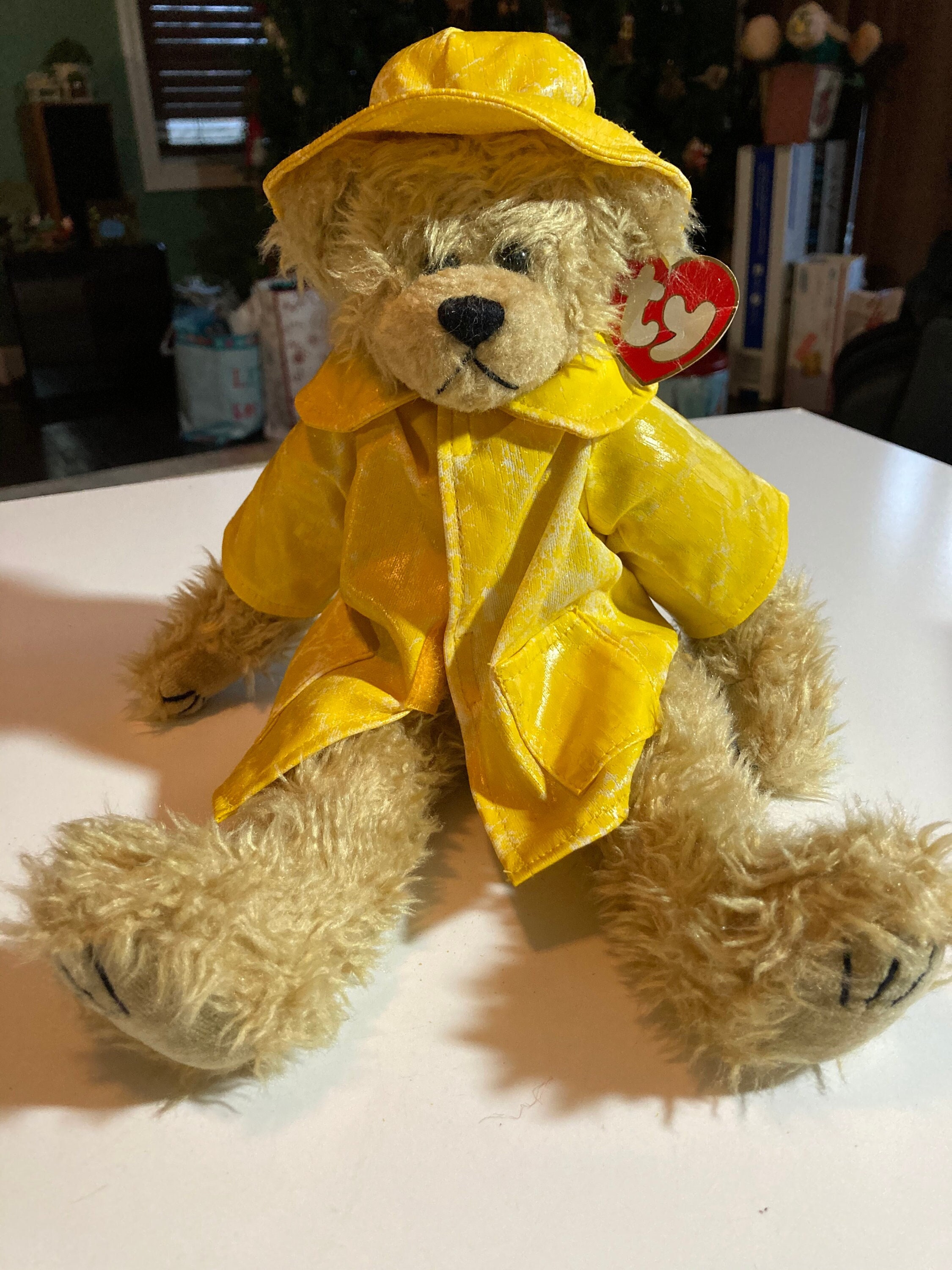 yellow raincoat teddy bear