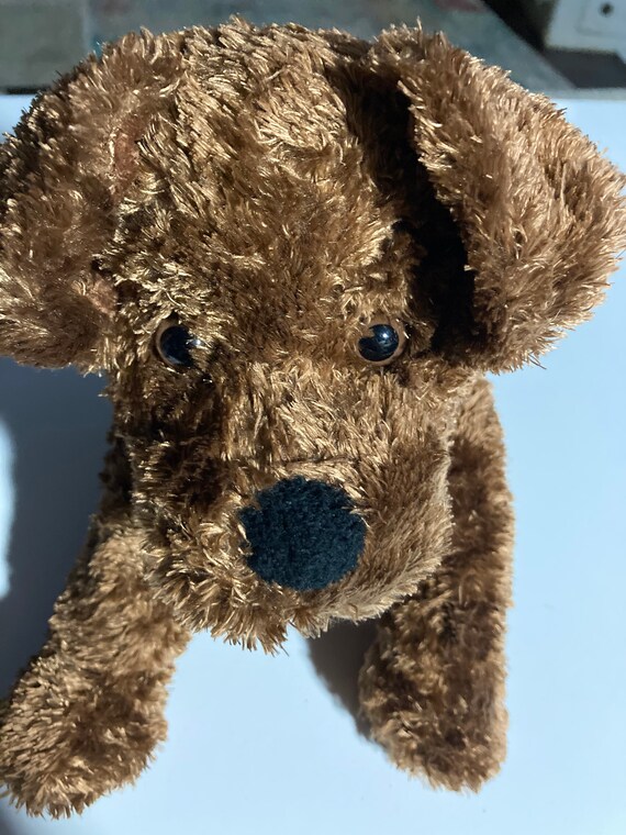 animal adventure brown dog