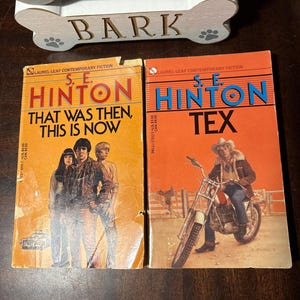 S.E. Hinton lot of 2 paperback books vintage teen fiction novels friendship drama paperback book older readers