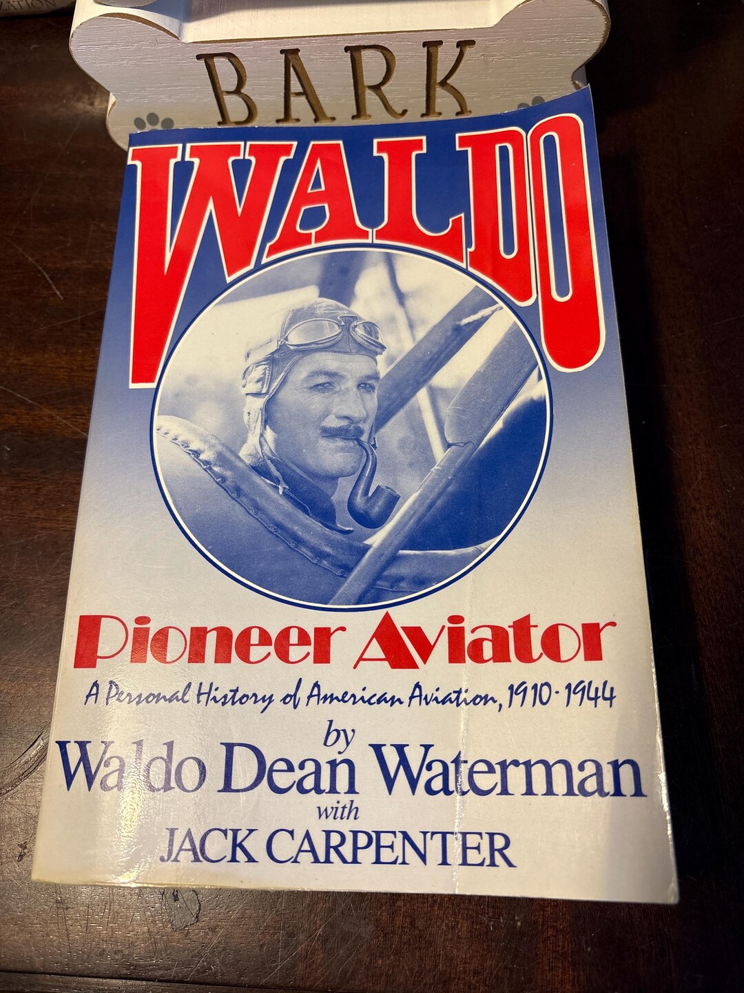 waldo-pioneer-aviator-a-personal-history-of-american-aviation-1910-1944