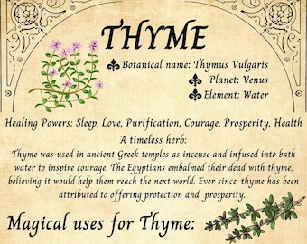 May include: A vintage-style illustration of thyme, a herb with healing and magical properties. The illustration features a botanical name, planet, element, healing powers, and magical uses for thyme. The text includes "Thyme was used in ancient Greek temples as incense and infused into bath water to inspire courage. The Egyptians embalmed their dead with thyme, believing it would help them reach the next world. Ever since, thyme has been attributed to offering protection and prosperity."