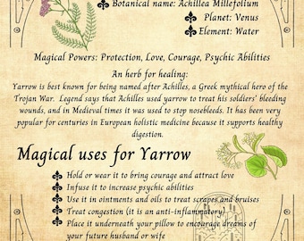 Cocina Witchery Poster Yarrow Healing Herb Grimoire Book of Shadows Wall Art Home Decor (3 tamaños, pequeño, mediano o grande)