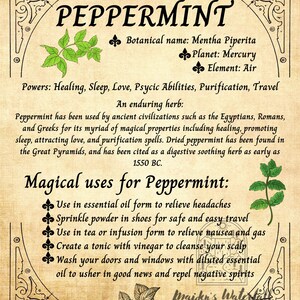 Kitchen Witchery Poster Peppermint Enduring Herb Grimoire Book of Shadows Wall Art Home Decor (3 Sizes, Small, Medium or Large)