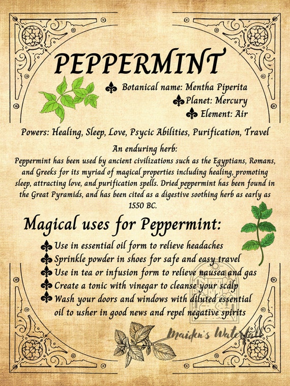PEPPERMINT Peppermint Padded Underwear | Women