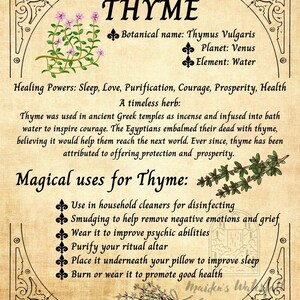 Kitchen Witchery Poster Thyme Timeless Herb Grimoire Book of Shadows Wall Art Home Decor (3 Sizes, Small, Medium or Large)