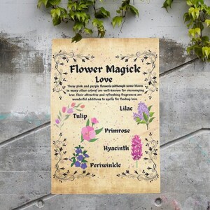 Può includere: Un grafico stampabile in stile vintage con un tema floreale. Il grafico elenca i fiori associati alla magia dell'amore, tra cui tulipano, lillà, primula, giacinto e pervinca. Il testo recita "Flower Magick Love".