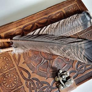 May include: Two brown and white turkey feathers with quill pens attached, resting on a brown leather journal with intricate Celtic knotwork designs and a metal clasp.