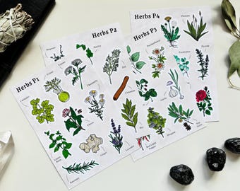Witchcraft Herbs Identification Stickers - Herbal Study, Magickal Correspondences, Botanical Herbs, Green Witches, Book of Shadows Supplies