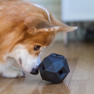 The Odin - Modern Interactive Puzzle Dog Toy By Up Dog Toys