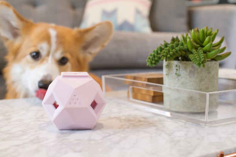 The Odin - Modern Interactive Puzzle Dog Toy By Up Dog Toys