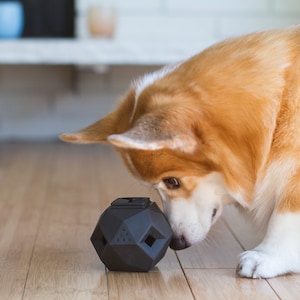 The Odin - Modern Interactive Puzzle Dog Toy By Up Dog Toys