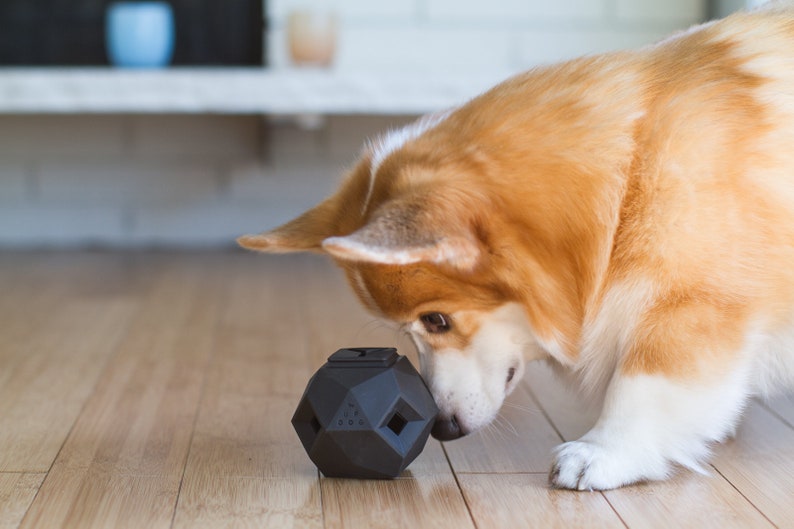 The Odin - Modern Interactive Puzzle Dog Toy By Up Dog Toys