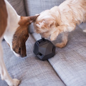 The Odin - Modern Interactive Puzzle Dog Toy By Up Dog Toys