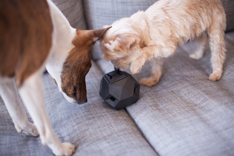 The Odin - Modern Interactive Puzzle Dog Toy By Up Dog Toys