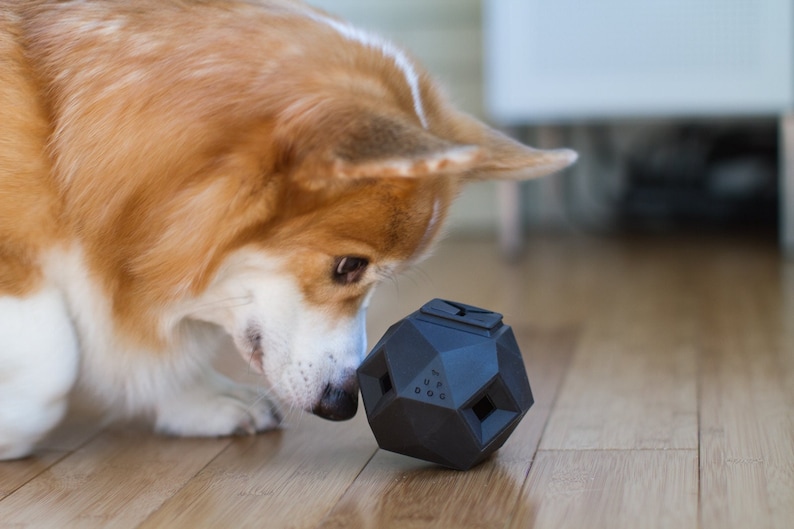 The Odin - Modern Interactive Puzzle Dog Toy By Up Dog Toys