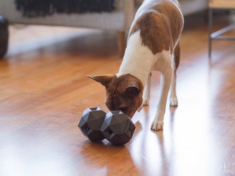 The Odin - Modern Interactive Puzzle Dog Toy By Up Dog Toys