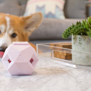 The Odin - Modern Interactive Puzzle Dog Toy By Up Dog Toys