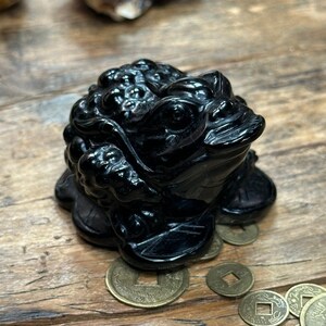 May include: A glossy black frog figurine, possibly obsidian, sits atop a pile of antique-style coins. The frog is detailed with textured skin and is on a wooden surface. Decorative item.