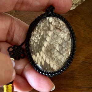 Serpent Oracle, Sacred Talisman, Personal RelicReal Rattlesnake Skin. Guardian Object