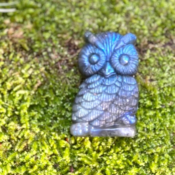Blue Flash Labradorite Owl