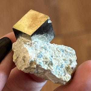 May include: A pyrite crystal specimen featuring a gold-colored, cube-shaped crystal with black accents, resting on a light-colored, textured rock matrix with blue and gray inclusions. The specimen is held in a hand.