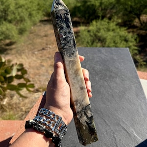 May include: A tall, polished crystal obelisk with a pointed top. The crystal features a mix of light beige, gray, and black patterns. The obelisk is held in a hand, showcasing its size and shape. The background is a natural outdoor setting.