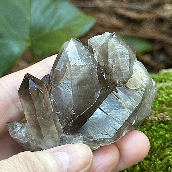 Smoky Quartz ~ Quartz Scepter Mine ~ Hallelujah Junction, NV