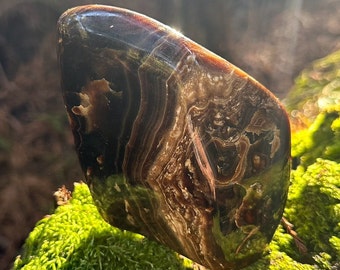 Chocolate Calcite ~ Brown Aragonite ~ Polished Free Form