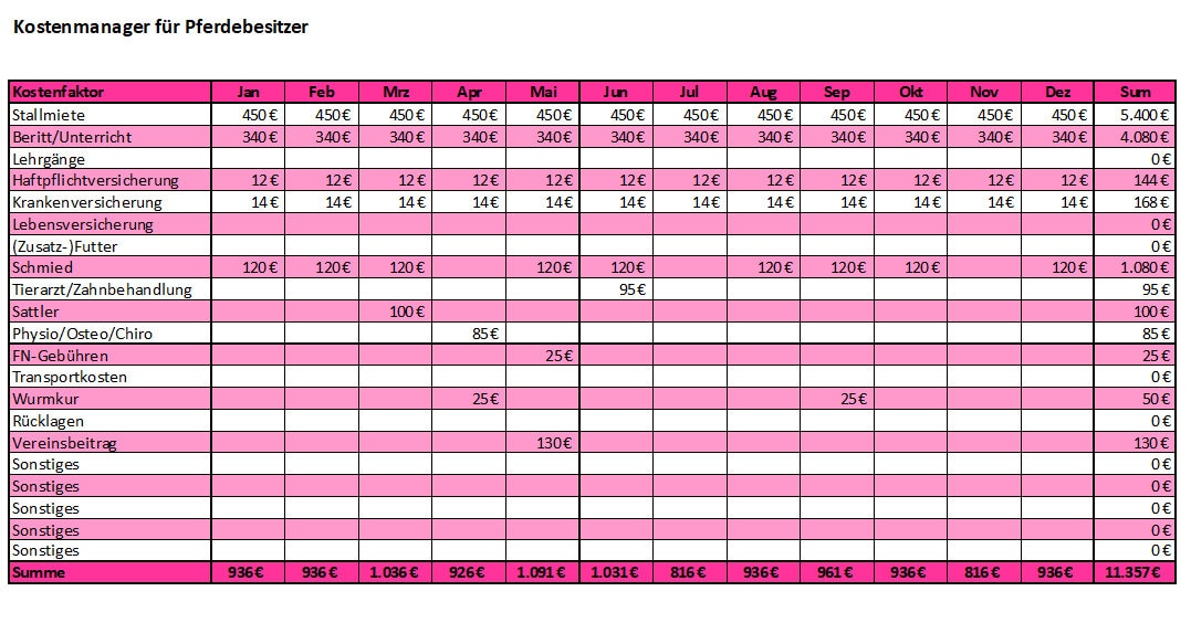 Excel-Vorlage Kostenmanager Pferd Jahresübersicht | Etsy