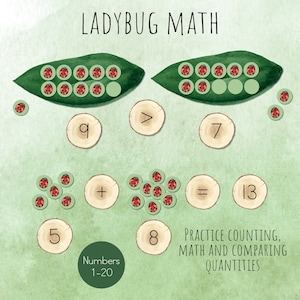 May include: A green leaf with red ladybugs on it. The leaf is divided into two sections, with 9 ladybugs on one side and 7 on the other. The image also includes a number line with the numbers 5, 8, and 13. The text "LADYBUG MATH" is at the top of the image. The text "Numbers 1-20" is at the bottom of the image. The text "PRACTICE COUNTING, MATH AND COMPARING QUANTITIES" is at the bottom right of the image.