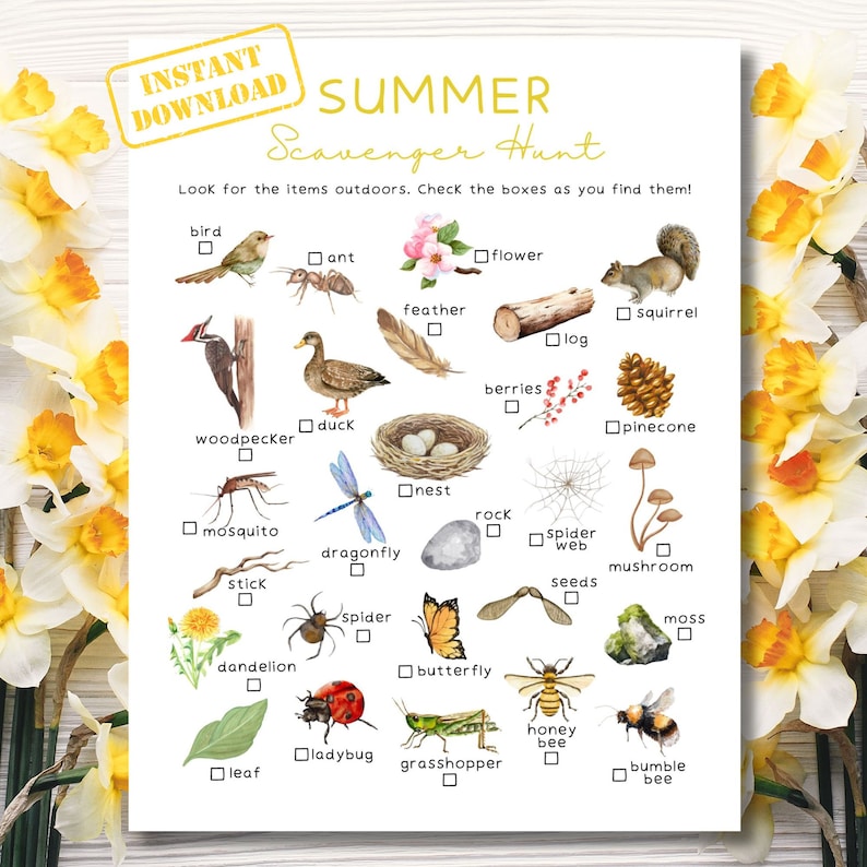 May include: A printable summer scavenger hunt checklist with illustrations of common outdoor items like a bird, ant, flower, squirrel, woodpecker, duck, feather, log, berries, pinecone, nest, rock, spider, mosquito, dragonfly, stick, dandelion, butterfly, ladybug, grasshopper, honey bee, and bumble bee.