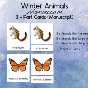 Animales de invierno Montessori Tarjetas de 3 partes (manuscrito) / Charlotte Mason Acuarela Hibernación y migración Estudio de la naturaleza
