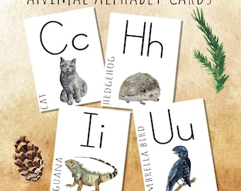 May include: A set of alphabet flash cards featuring animals. The cards are white with black letters and illustrations of a cat, hedgehog, iguana, and umbrella bird. The cards are on a brown background with pine cones and a green branch.