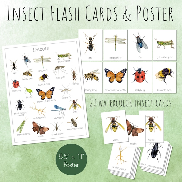 INSECT Flash-kaarten en poster, afdrukbaar, insecten en insecten Montessori-kaarten, natuurstudie voor lente en zomer, kunst aan de muur