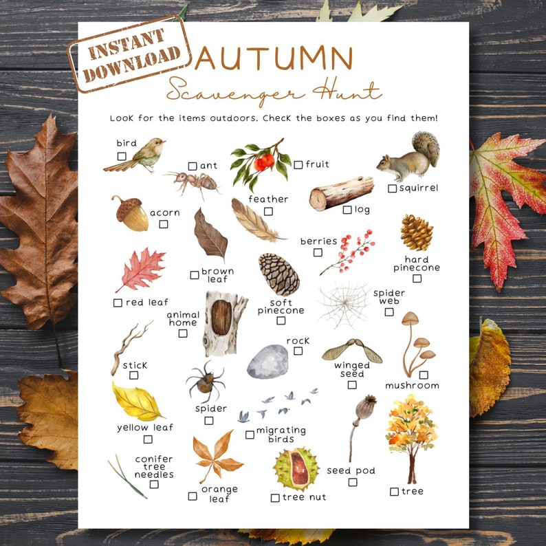 May include: A printable autumn scavenger hunt checklist with illustrations of items to find outdoors, such as a bird, acorn, ant, feather, fruit, log, berries, red leaf, brown leaf, soft pinecone, rock, winged seed, spider, hard pinecone, spider web, mushroom, yellow leaf, conifer tree needles, orange leaf, tree nut, seed pod, and tree.