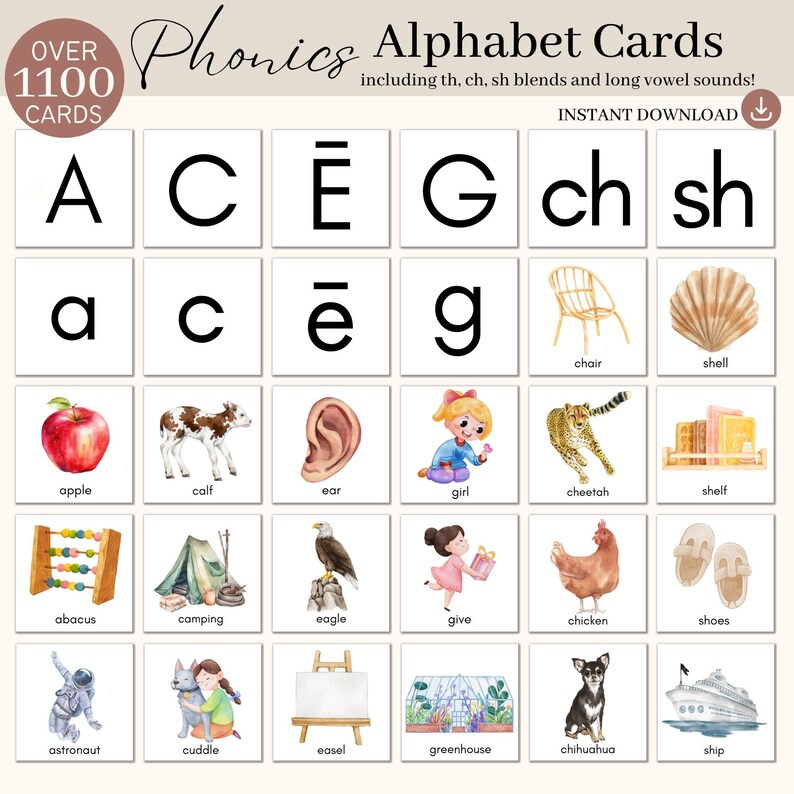 May include: A set of alphabet flash cards with watercolour illustrations. The cards feature the letters A, C, E, G, ch, and sh, along with corresponding images for words like apple, chair, and cheetah.