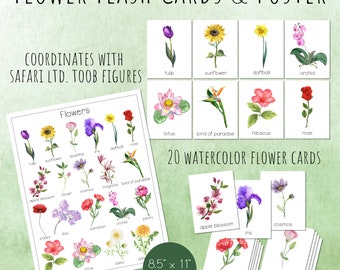 FLOWER Flash Cards and Poster, Printable, Safari Ltd Flower Toob Montessori Cards, Nature Study for Spring and Summer, Wall Art
