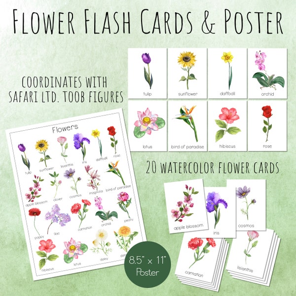 FLOWER Flash Cards and Poster, Printable, Safari Ltd Flower Toob Montessori Cards, Nature Study for Spring and Summer, Wall Art