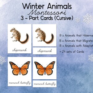 CURSIVO Animales de Invierno Montessori Tarjetas de 3 Partes / Charlotte Mason Acuarela Hibernación y Migración Estudio de la Naturaleza