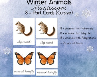 CURSIVE Winter Animals Montessori 3 Part Cards | Charlotte Mason Watercolor Hibernation & Migration Nature Study
