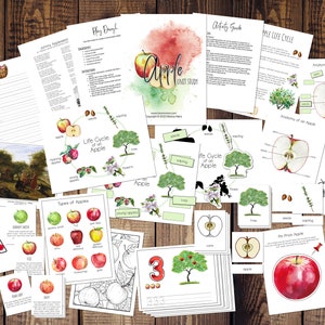 Étude de l'unité Apple | Montessori et Charlotte Mason Aquarelle Apple Fall Nature Study Unit | Cartes en 3 parties Cycle de vie et anatomie d'Apple