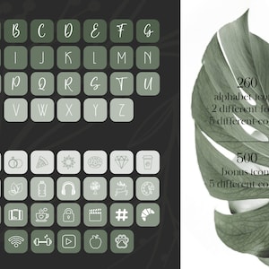 May include: A set of 260 alphabet icons in two different fonts and five different colors, plus 500 bonus icons in five different colors. The icons are displayed on a dark green background with a green leaf design. The text "260 alphabet icons - 2 different fonts - 5 different colors" and "500 bonus icons - 5 different colors" is displayed on a white background.