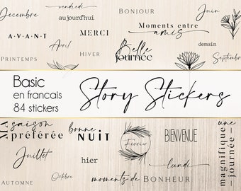 Basic stickers in French for Instagram stories or for digital planner, instant download