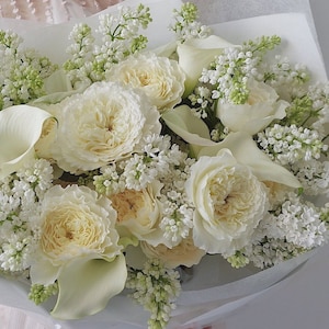 Wedding Rose -【White】Cutting Rose| ペイシェンス | 1.5 Gal+ OwnRoot |Florists Rose| Intense Fragrance| Elegant| Pure| Lace Flower| 木立バラ|  페이션스