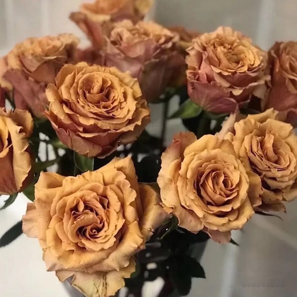 Pink Toffee Roses Toffee Rose - Etsy